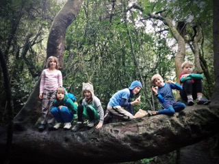 Wanderung in den Wald